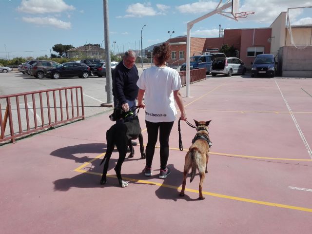 Demostraciones caninas para concienciar a los más jóvenes en la prevención de la violencia de género - 2, Foto 2