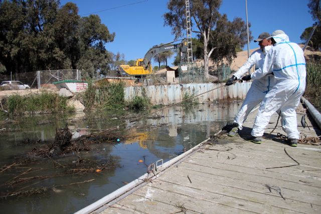 La CHS licita el contrato de mantenimiento y limpieza residuos en las redes de flotantes del río Segura - 2, Foto 2