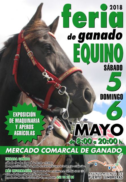 La tradicional Feria de Ganado Equino de Puerto Lumbreras abrirá sus puertas el 5 de mayo - 1, Foto 1
