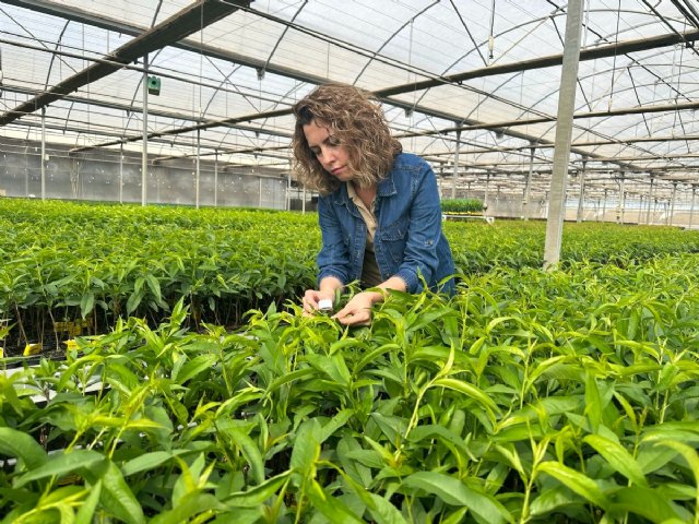 Viveros Hernandorena, pioneros en el control biológico en vivero de frutales - 1, Foto 1