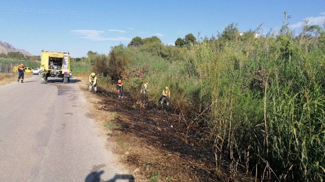 Conato el incendio de cañas en zona del río Argos (Calasparra) - 1, Foto 1