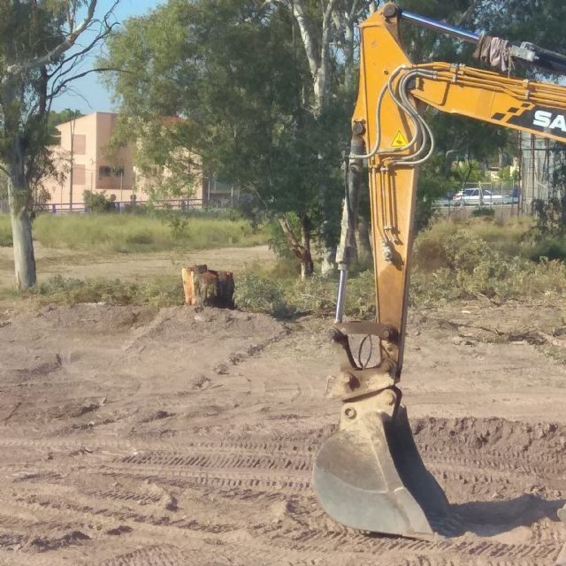 Nuevo atentando contra el patrimonio arbóreo de Lorca - 1, Foto 1