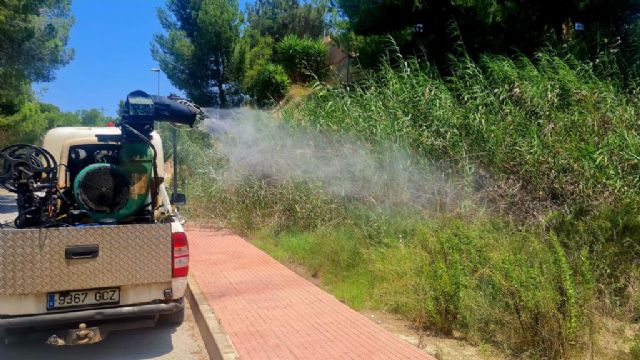 Molina de Segura se blinda contra los mosquitos - 1, Foto 1