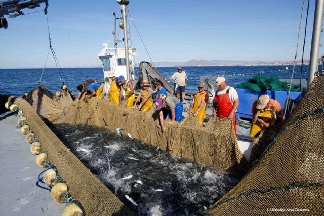 Cartagena da a conocer la importancia de la pesca y su litoral a estudiantes - 1, Foto 1