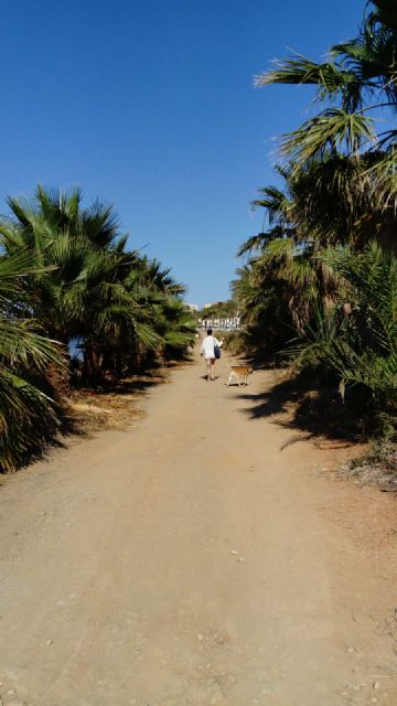 El PCAN denuncia que el paseo ecológico entre Playa Honda y Villas Caravaning tampoco estará este verano - 5, Foto 5