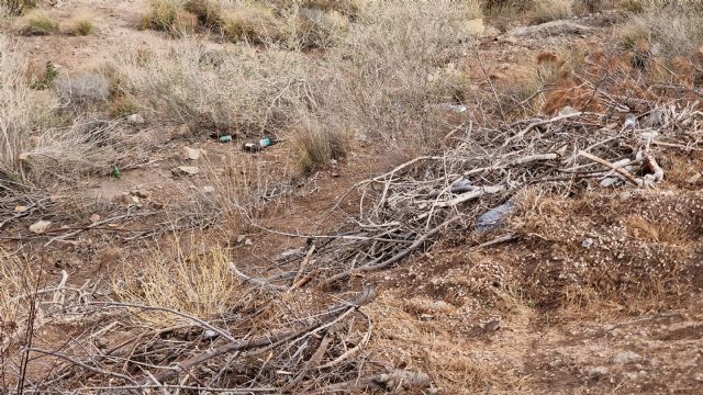 El PSOE solicitará al Ayuntamiento de Lorca una intervención urgente en los aledaños del castillo - 1, Foto 1