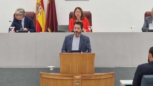 Podemos acudirá al Constitucional ante la deriva autoritaria de la Asamblea Regional - 1, Foto 1