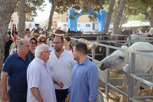 Ganaderos y amantes del mundo ecuestre se dan cita en la Feria del Ganado y el Encuentro de Carruajes de San Pedro del Pinatar Ganaderos y amantes del mundo ecuestre se dan cita en la Feria del Ganado y el Encuentro de Carruajes de San Pedro del Pinatar