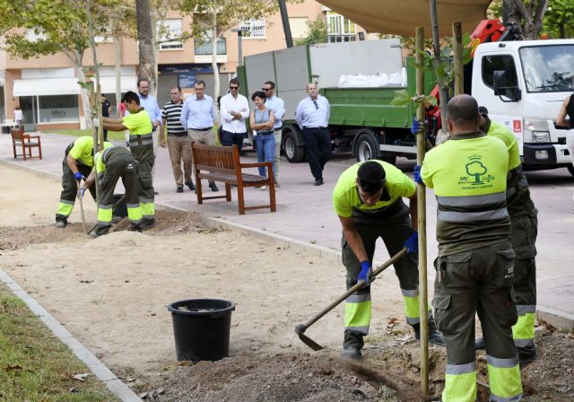 Murcia evitará la emisión de 4,5 millones de kilogramos de CO2 con la plantación de 50.000 nuevos árboles - 1, Foto 1