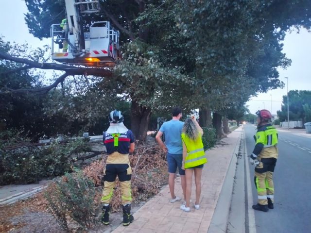 Seis tornados dejan árboles caídos, desplazamientos de contenedores y una valla derribada en Lorca - 2, Foto 2