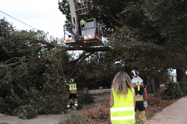 Seis tornados dejan árboles caídos, desplazamientos de contenedores y una valla derribada en Lorca - 3, Foto 3