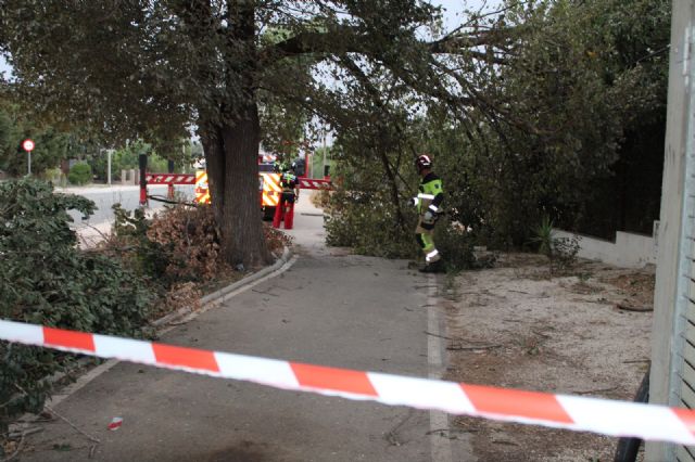 Seis tornados dejan árboles caídos, desplazamientos de contenedores y una valla derribada en Lorca - 4, Foto 4