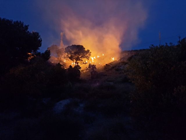 Un incendio arrasa unos 2.500 metros cuadrados de monte bajo y pinos en Carraclaca en Lorca - 1, Foto 1