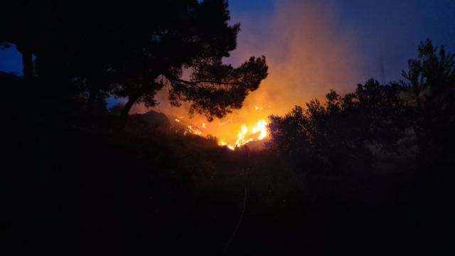 Un incendio arrasa unos 2.500 metros cuadrados de monte bajo y pinos en Carraclaca en Lorca - 2, Foto 2