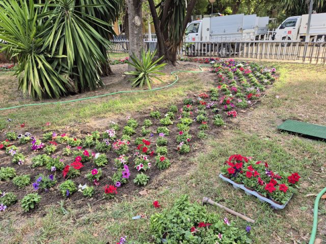 El Ayuntamiento de Murcia última los trabajos de ornamentación y puesta a punto de los jardines de la ciudad y pedanías de cara a la Feria de Septiembre - 3, Foto 3