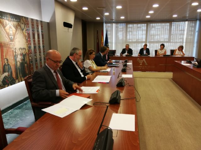 La Asamblea Regional aprueba la iniciativa de Ciudadanos para mejorar las condiciones de vida de las personas con discapacidad que residen en entornos rurales - 1, Foto 1