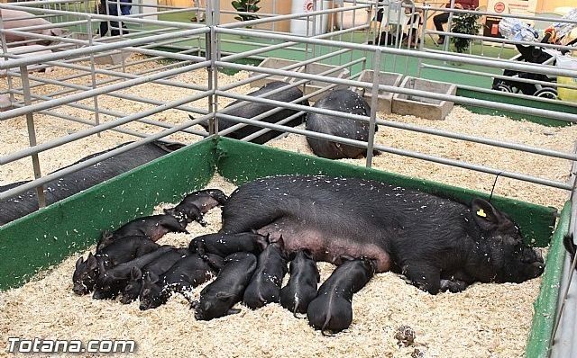 La Excelencia del Sector Agroalimentario, más sostenible que nunca - 1, Foto 1