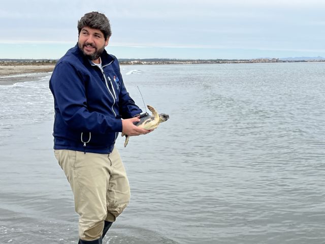 La Región de Murcia se consolida como Territorio Tortuga con 52 ejemplares nacidos este año - 2, Foto 2