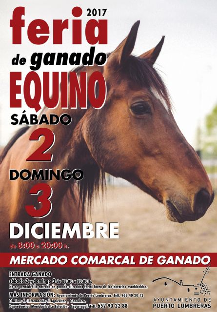 Puerto Lumbreras celebrará una Feria de Ganado Equino el 2 y 3 de diciembre - 1, Foto 1