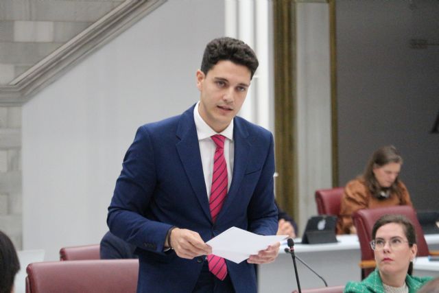 El PSOE realiza cuatro preguntas orales al Consejo de Gobierno en la Asamblea Regional - 4, Foto 4