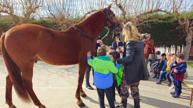 La Unidad de Caballería de la Policía Local visita a los alumnos del CEIP de La Arboleja - 4, Foto 4