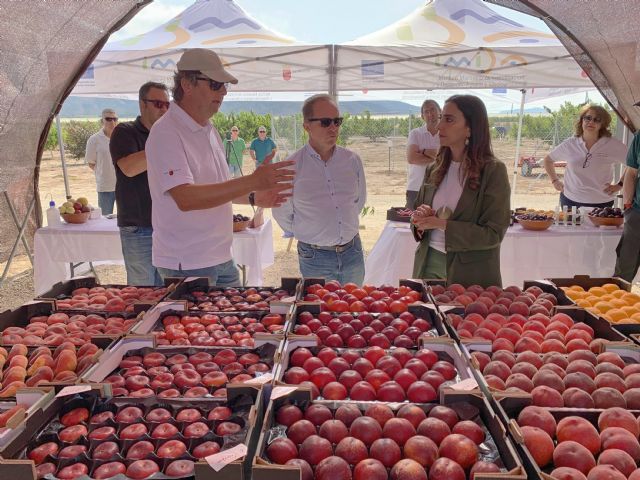 Murcia: potencia en la investigación y el desarrollo de nuevas variedades de fruta de hueso de alta calidad - 2, Foto 2