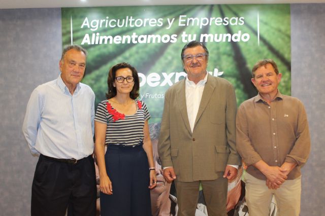 Cecilio elegido presidente de la sectorial de lechuga de la Federación Nacional FEPEX - 1, Foto 1