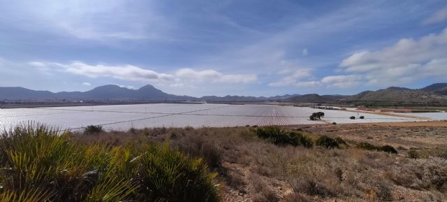 La Junta de Usuarios de las masas de agua subterránea Campo de Cartagenaeligen presidentes y miembros de la comisión redactora - 1, Foto 1