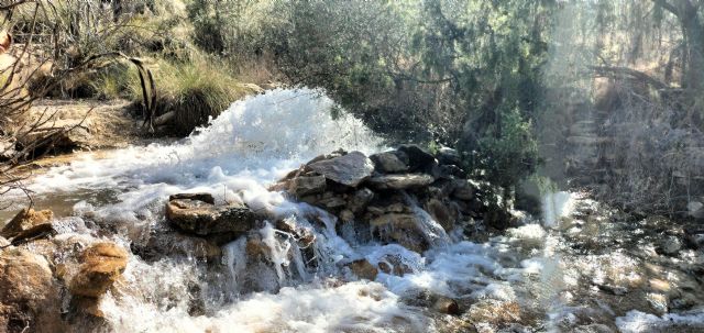 La CHS recibe la DIA favorable para la apertura de los pozos de sequía de Hellín - 2, Foto 2