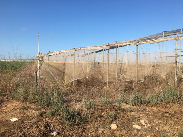El inminente programa de nitratos murciano arrasa con 9 de cada 10 agricultores de la región El inminente programa de nitratos murciano arrasa con 9 de cada 10 agricultores de la región