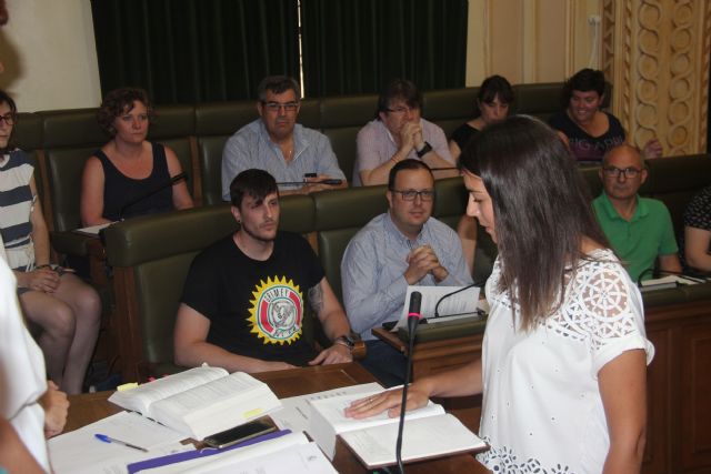 El Pleno acuerda solicitar que no se lleve a cabo el cierre de una unidad de Infantil del Colegio La Asunción - 2, Foto 2