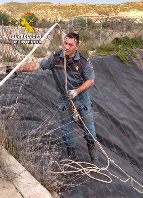 La Guardia Civil rescata dos perros atrapados en una balsa de riego de Librilla - 5, Foto 5