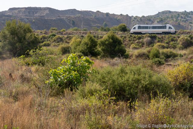 La alcaldesa de Cartagena pide a Renfe que deje subir bicicletas al tren de Los Nietos - 1, Foto 1