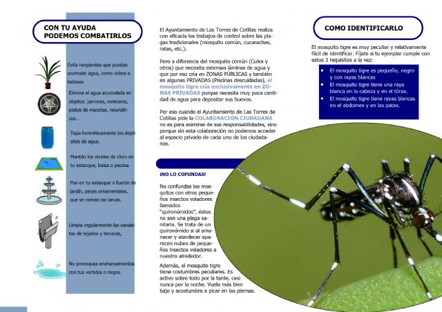 El Ayuntamiento torreño recuerda la importancia de la colaboración ciudadana para combatir al mosquito tigre - 2, Foto 2