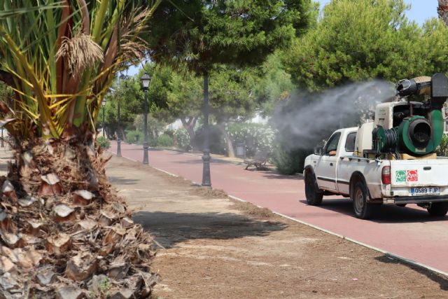 San Pedro del Pinatar intensifica la lucha contra los mosquitos y las cucarachas - 3, Foto 3