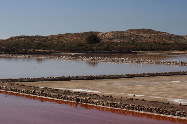 Mejora de la zona del Humedal de las Salinas del Rasall en el Parque Regional de Calblanque - 1, Foto 1