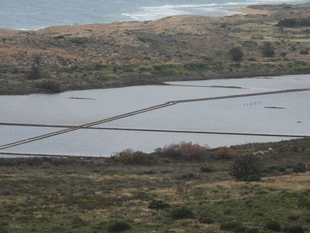 Mejora de la zona del Humedal de las Salinas del Rasall en el Parque Regional de Calblanque - 2, Foto 2