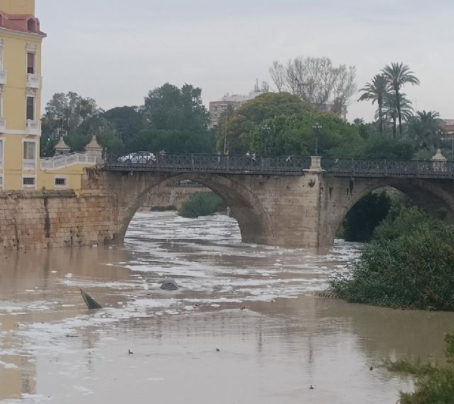 El Seprona eleva a la Fiscalía las espumas del río Segura denunciadas por Huermur - 2, Foto 2
