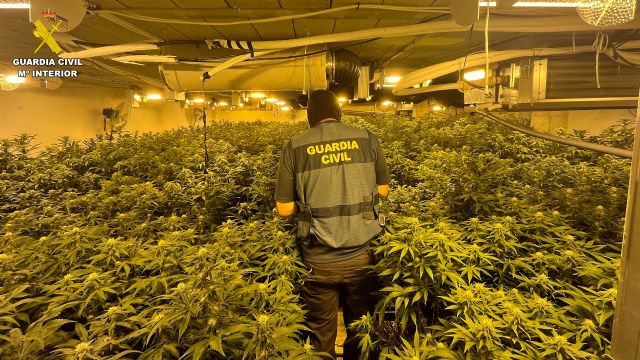 La Guardia Civil desmantela en la Vega Media un grupo criminal que cultivaba y exportaba marihuana a Europa central - 4, Foto 4