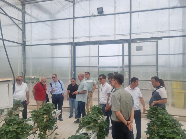 Expertos de Uzbekistán visitan la Región para conocer las mejores prácticas en agricultura y gestión hídrica de la mano de AgritechMurcia - 2, Foto 2