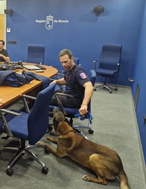 El Ayuntamiento de Murcia despliega a sus bomberos y unidades caninas en el contingente de ayuda internacional a Venezuela El Ayuntamiento de Murcia despliega a sus bomberos y unidades caninas en el contingente de ayuda internacional a Venezuela