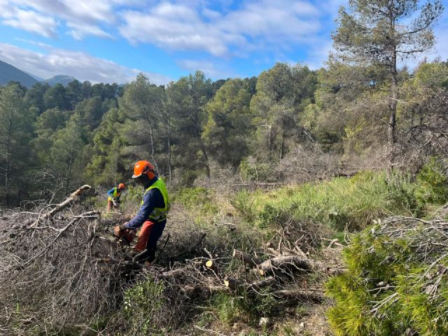 La Comunidad actúa sobre 450 hectáreas de monte en Cehegín, Ricote y Bullas para frenar el avance de plagas y el decaimiento forestal La Comunidad actúa sobre 450 hectáreas de monte en Cehegín, Ricote y Bullas para frenar el avance de plagas y el decaimiento forestal