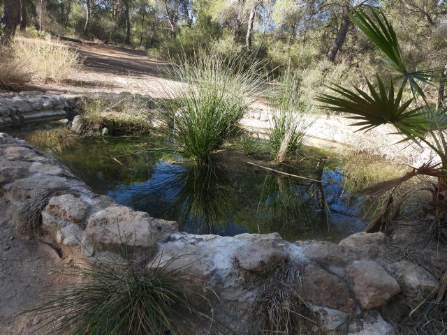 Semana del Agua: importancia en los espacios naturales de Murcia - 1, Foto 1