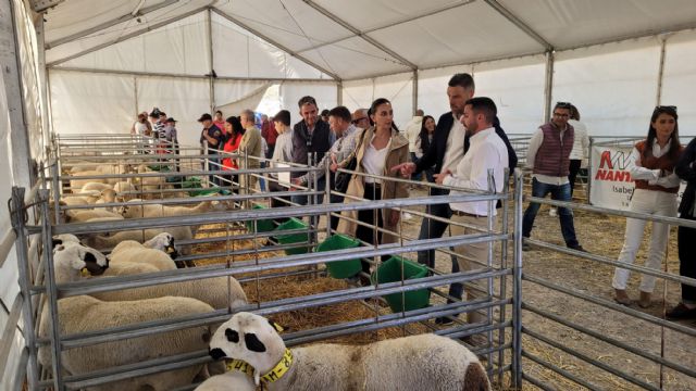 La Región de Murcia cuenta con más de 16.500 ejemplares de cordero segureño repartidos entre 12 ganaderías - 1, Foto 1