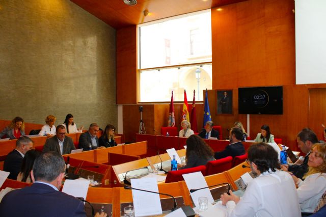 Balance de votaciones del Pleno Ordinario del Ayuntamiento de Lorca correspondiente al mes de octubre 2024 - 1, Foto 1