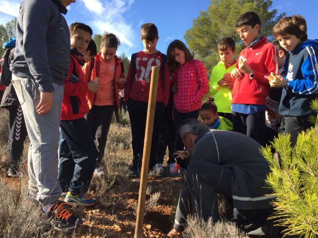 El grupo Gepnace del CEIP Ciudad de Begastri realiza una jornada de reforestación en los montes de Cehegín. - 1, Foto 1