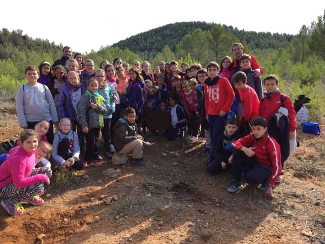 El grupo Gepnace del CEIP Ciudad de Begastri realiza una jornada de reforestación en los montes de Cehegín. - 2, Foto 2