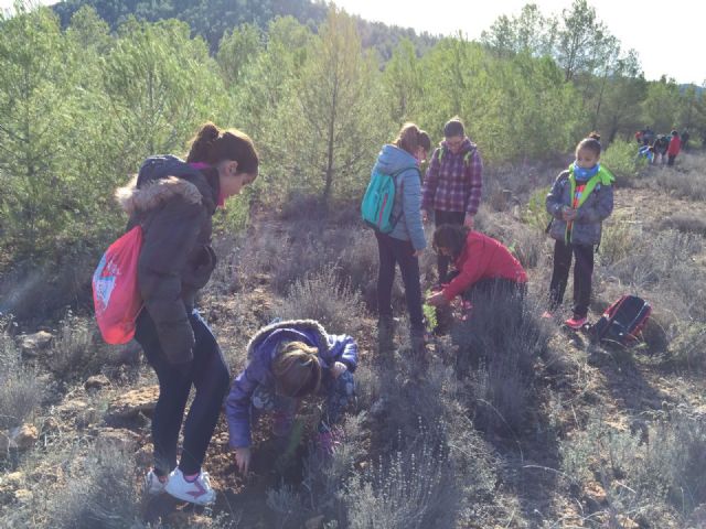 El grupo Gepnace del CEIP Ciudad de Begastri realiza una jornada de reforestación en los montes de Cehegín. - 4, Foto 4