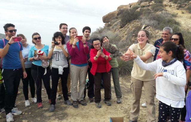 Medio Ambiente libera dos mochuelos europeos tras ser atendidos en el Centro de Recuperación de Fauna Silvestre - 1, Foto 1