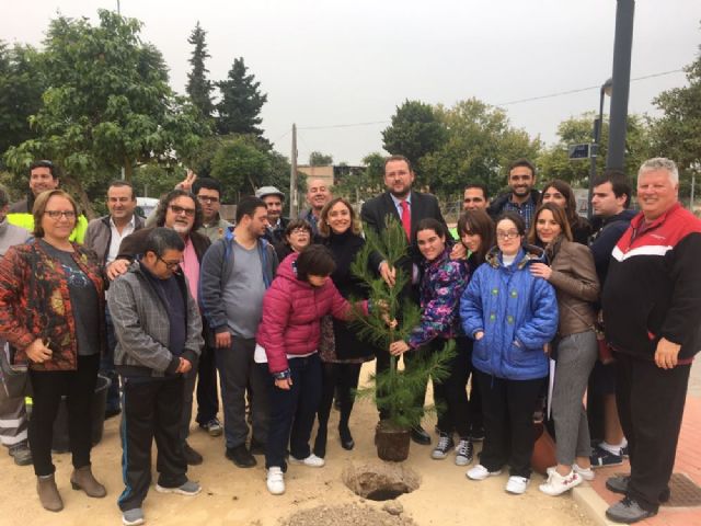 Niños de la Asociación de Discapacitados DISMO impulsan el plan SOMBRA con la plantación de nuevos árboles - 4, Foto 4